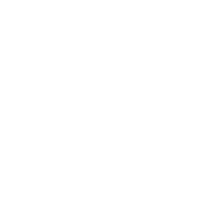 Nara Boat