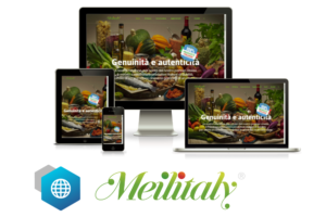 Hexaweb - Portfolio Meilitaly